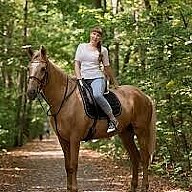 Наши лошади