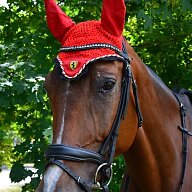 Наші коні