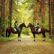 Товар 2 тест